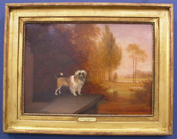 O/B Dog Portrait by Edmund Bristow