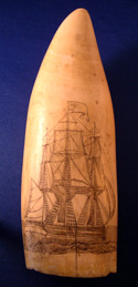 Scrimshaw Tooth With A Ship and A Gentleman
