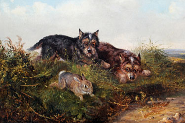 Terriers Chasing a Rabbit att. to G. Armfield